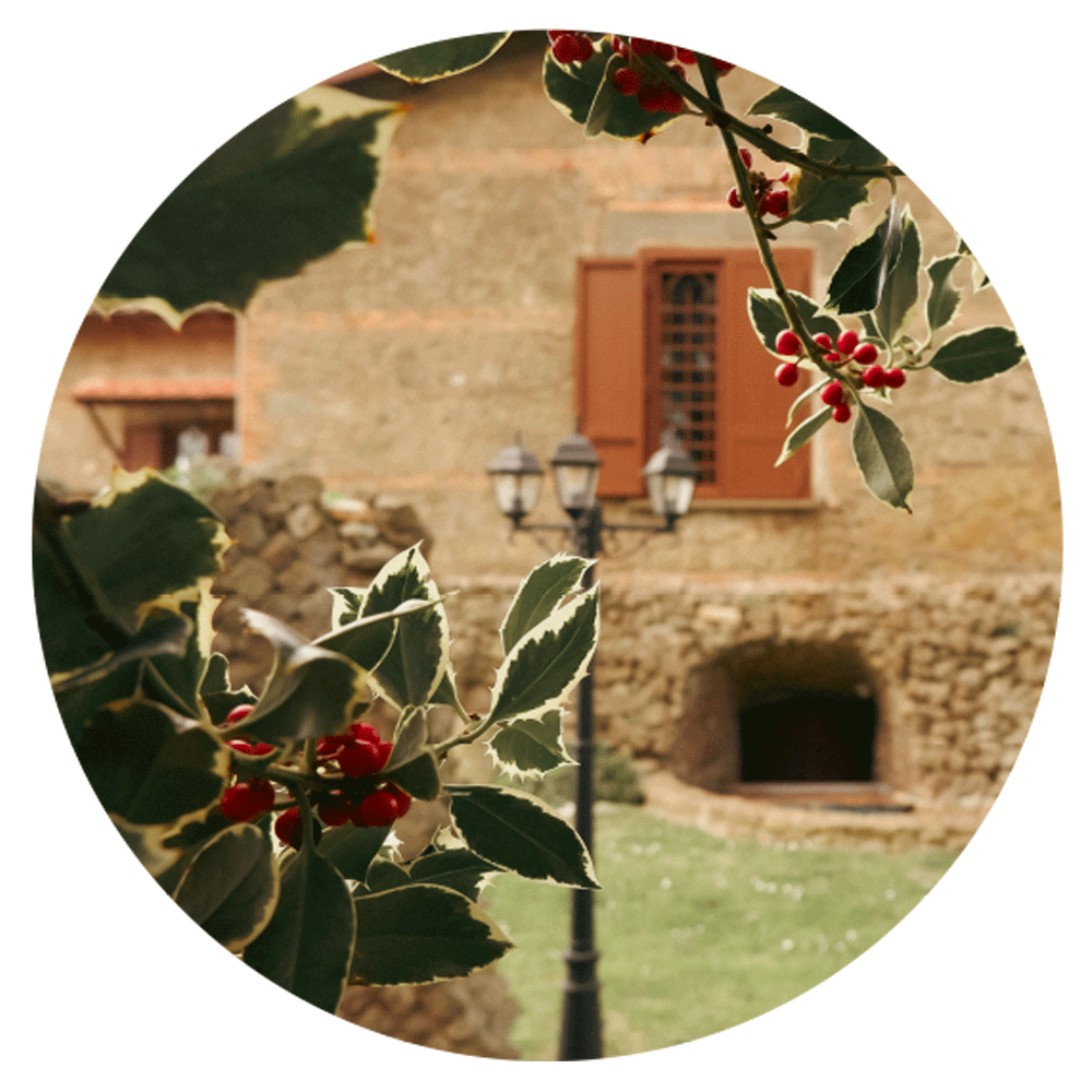 natura-per-gatti-roma
